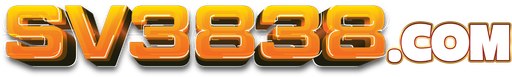 vnsv3838.com Logo